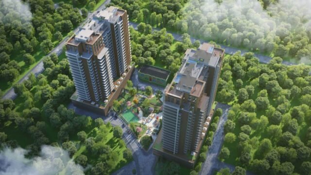 Metropol Kavtaradze